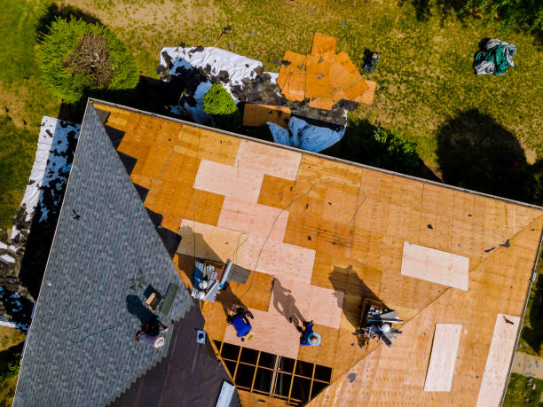 Quick and Trustworthy Emergency Roof Repair Services in Spring Hill, FL